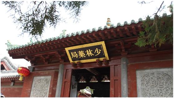 灏戞灄绂呭尰婧愭祦璁茶В,绂呬笌鍖荤殑缁撳悎