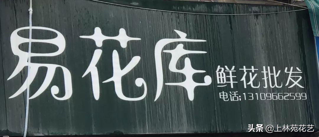 西安新年鲜花批发,西安鲜花店批发进货渠道