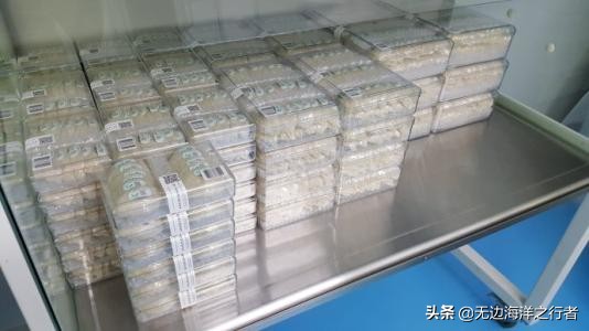 燕窝哪家好?什么牌子的燕窝比较好?全球燕窝的品牌排行榜呢?