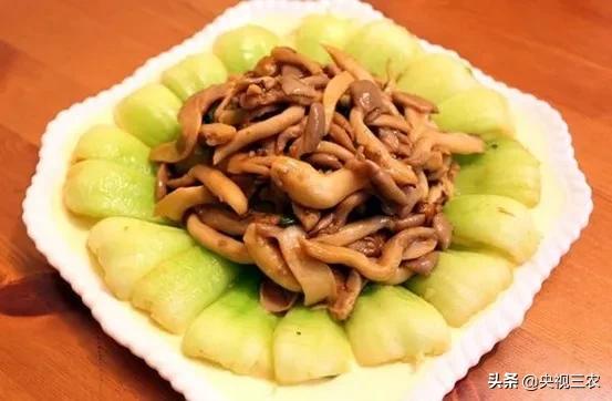 种油菜要选地合理,种油菜怎么种