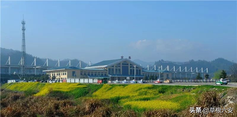 谢谢你来了全集,谢谢你医生