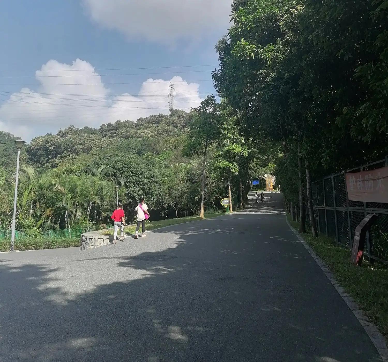 深圳龙华绿道风景区,深圳大浪绿道全景图