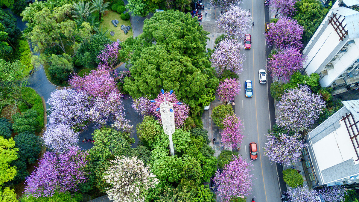 广西柳州这座城市真的很美,柳州和南宁哪个宜居
