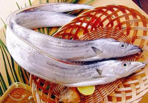 这5种常见海鱼都是野生捕捞,这个季节海鱼最肥美