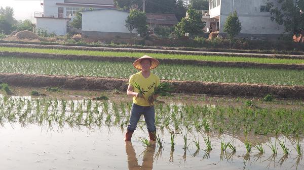 最美驻村干部,基层最美驻村工作者
