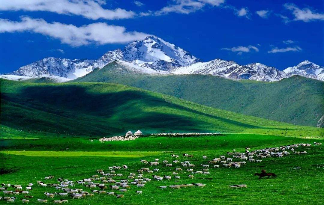 从新疆去内地旅游首选哪个城市,北疆和南疆旅游的区别