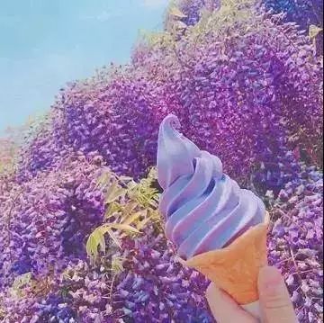 瓦房店·高发上东壹号首届全球美食狂欢节来啦！9月13日盛大开幕