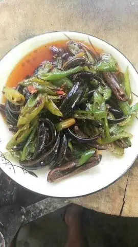 蚂蟥的产量,野生蚂蟥和养殖蚂蟥的价格