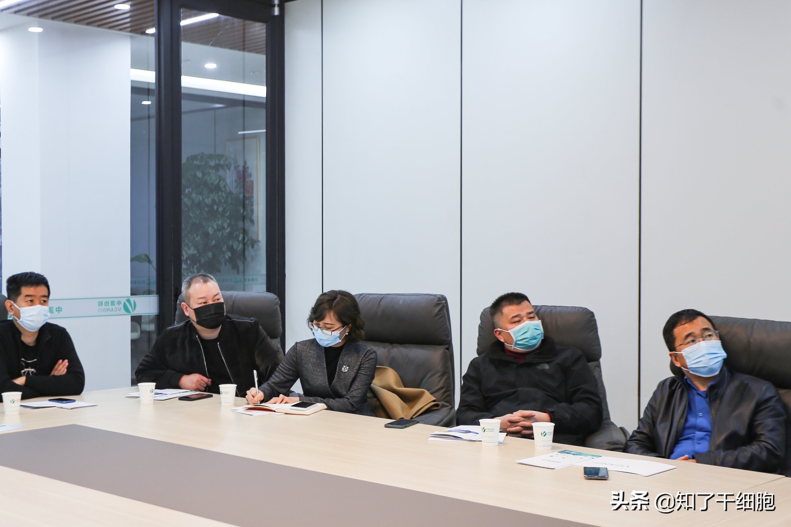 中源协和干细胞操作,中源协和干细胞