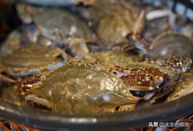 舌尖上的瑞安,舌尖上的美味缙云