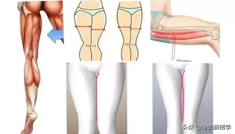 大腿内侧松弛下垂怎么办,大腿内侧肉松弛下垂怎么回事