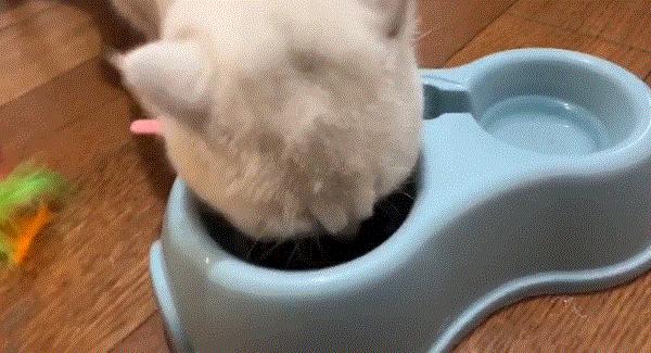 过年回家带点什么礼物实在,过年回家应该带点什么好吃的东西