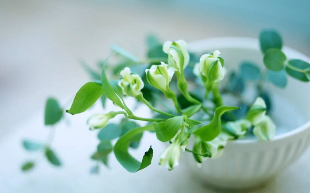 鍙屽煄灏戝効缁樼敾澶ц禌,鍐呮睙澶у崈鏁呴噷涓囧悕鍎跨缁樼敾姣旇禌