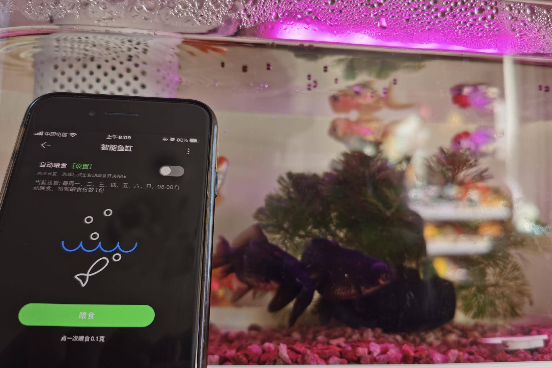 画法几何智能鱼缸开缸,画法几何最新智能模块化鱼缸评测