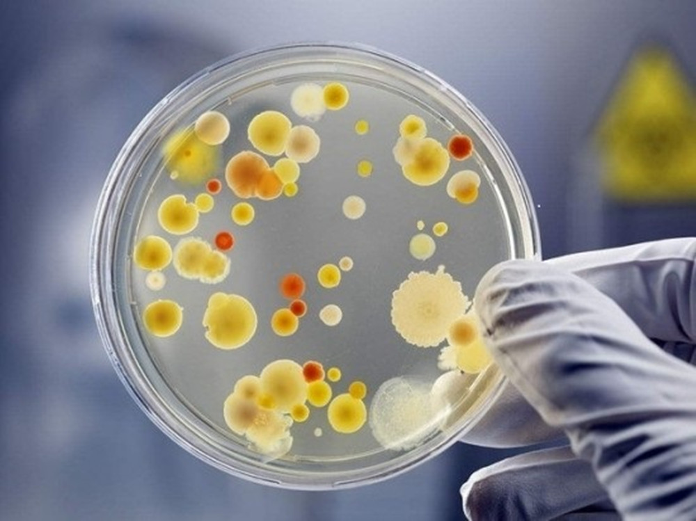 冰箱里面冰怎样铲掉,冰箱结冰怎么快速铲冰