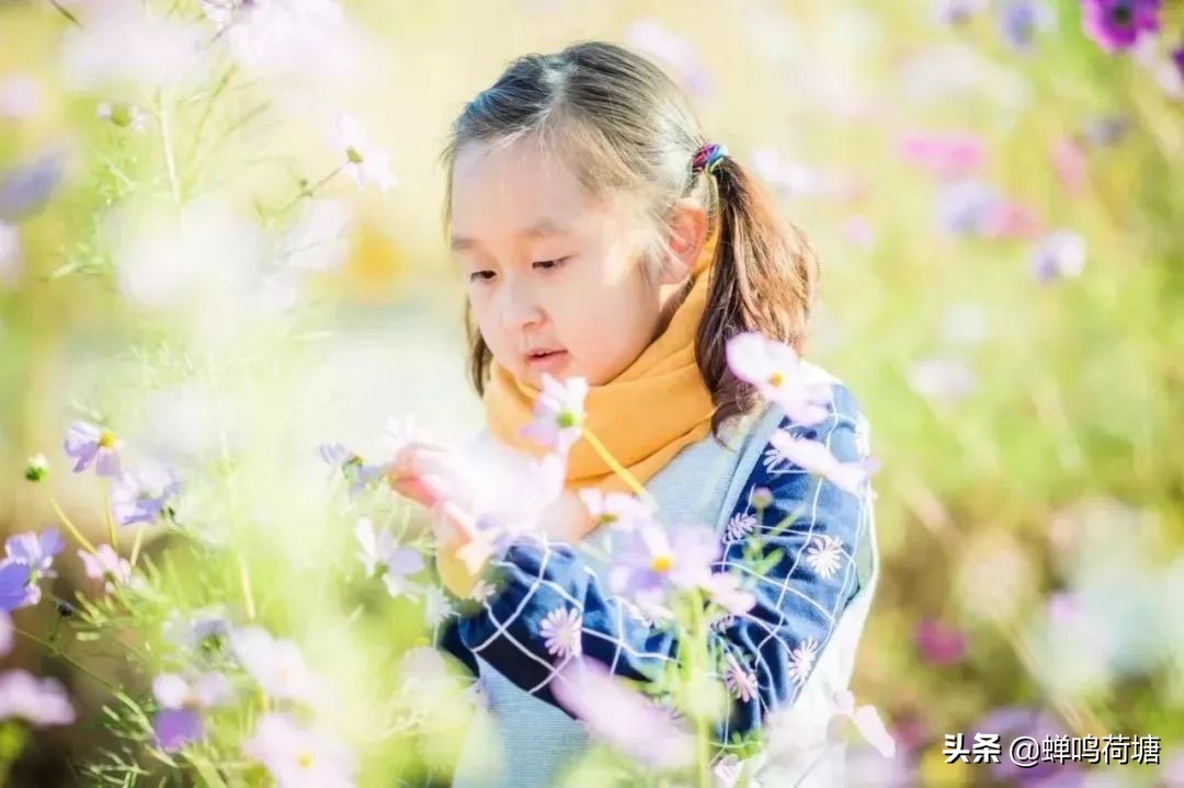 来自湖北的主播,湖北电台主持人隔空对话