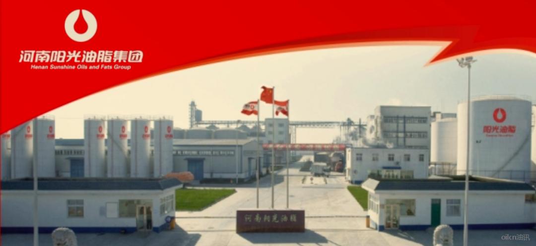 阳光总在风雨后51,阳光总在风雨后企业视频