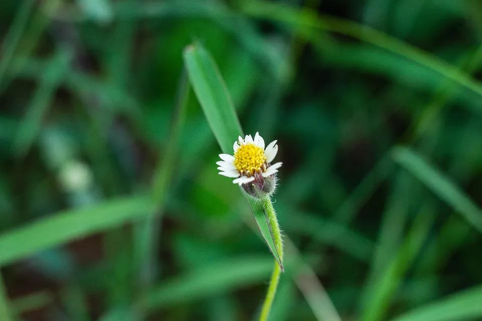 如何寻找焦虑真正需求,学会正确真实的表达自己的需求
