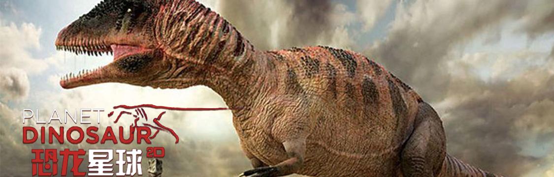 西瓜视频动物世界纪录片,动物园100种常见动物纪录片