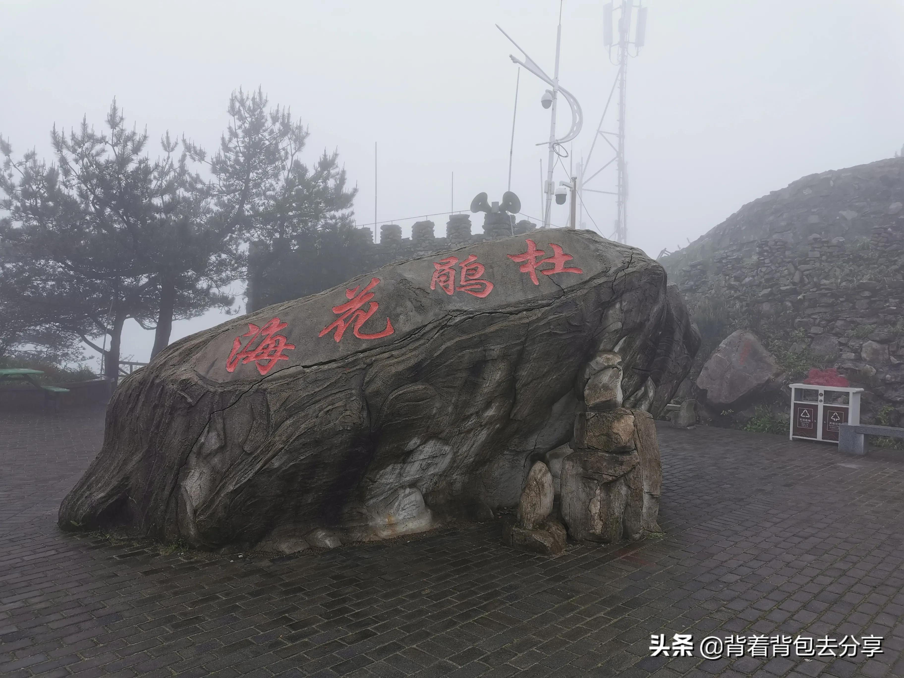 麻城看杜鹃花攻略,去麻城看杜鹃攻略