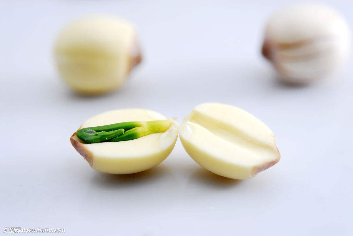 中药材莲子图片大全,中药材莲子和普通莲子区别