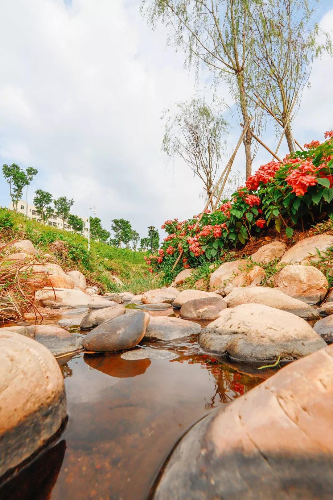 簕竹杜鹃谷公园,好看的杜鹃谷公园