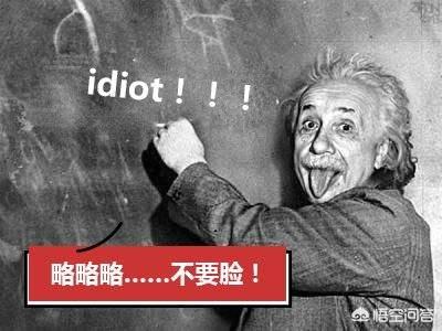 预言蜜蜂灭绝真相,爱因斯坦预言蜜蜂消失人类灭亡