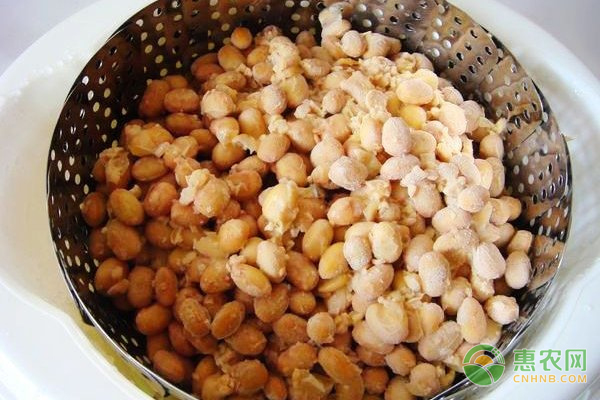 日本人吃的纳豆是什么品牌的,日本纳豆和中国纳豆有什么区别