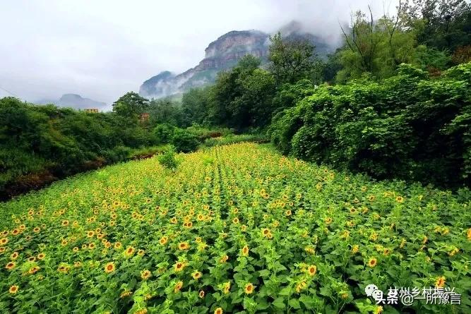 林州市最美乡村小镇,最美乡村之景林州