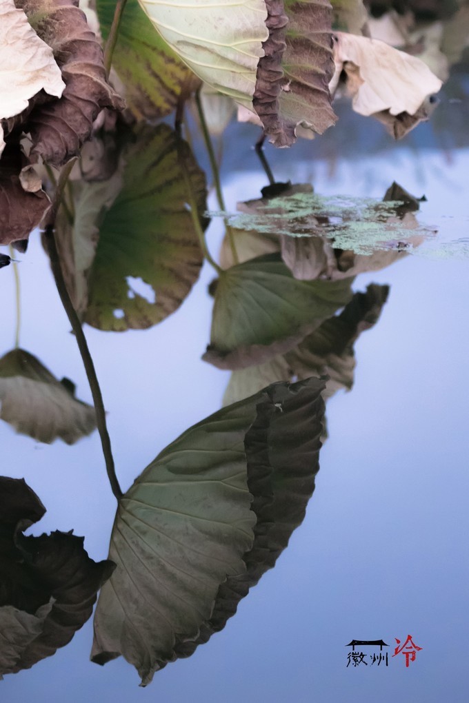 「徽州冷」宏村秋深晴少，友谊地久天