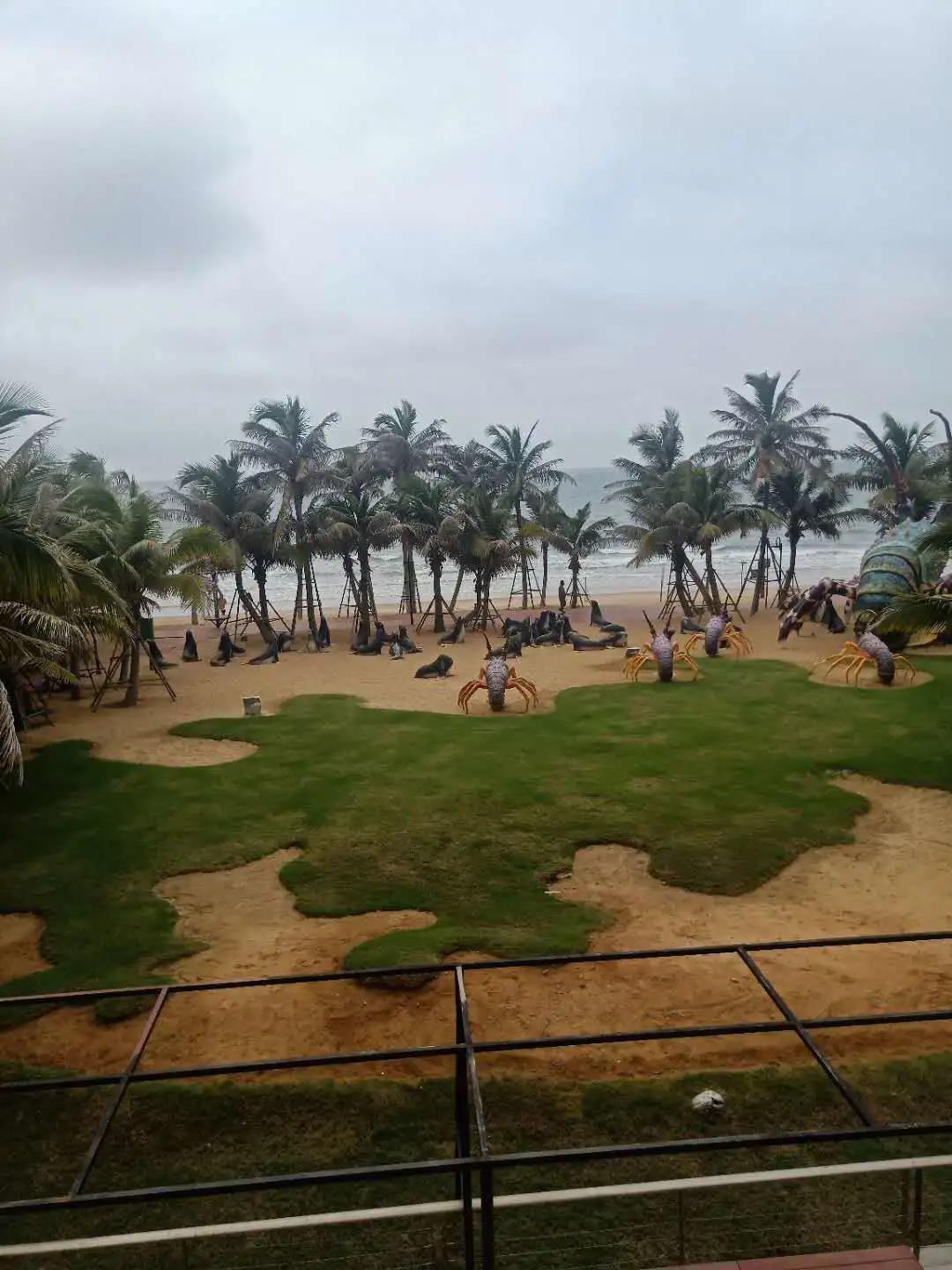 海南离湛江最近的城市,被海南带火了的城市湛江