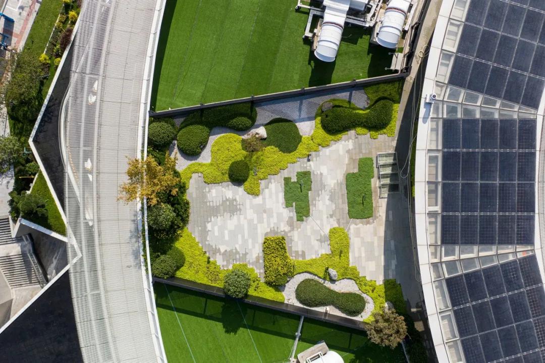 太平鸟时尚中心景观设计,自由的鸟巢