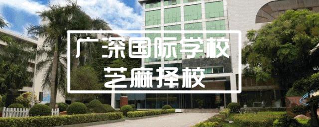 ib国际教育的学习方法,国际文凭课程ib大揭秘