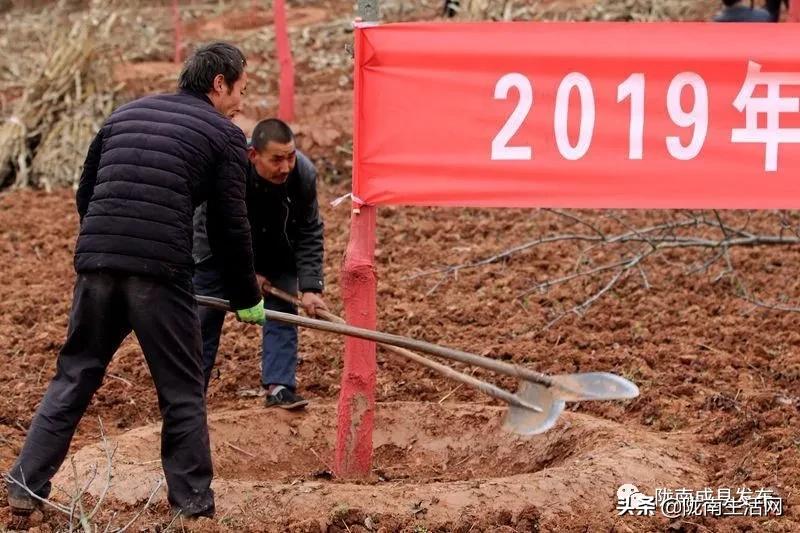 我叫成县，这是我2019年的自拍照