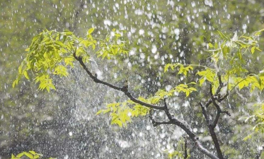 乡情散文记忆深处的夏天,乡情散文我挂念的老屋