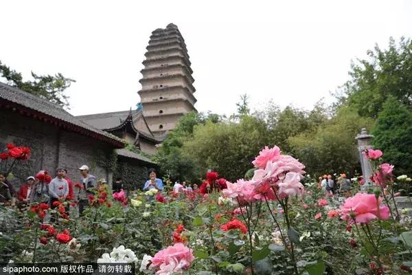 11月特价机票2020北京出发,12月北京出发最便宜机票