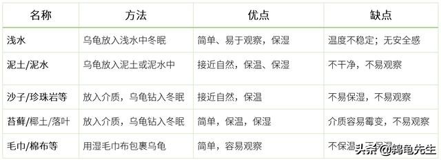 乌龟如何冬眠风险较小,硬币大小的乌龟怎么冬眠