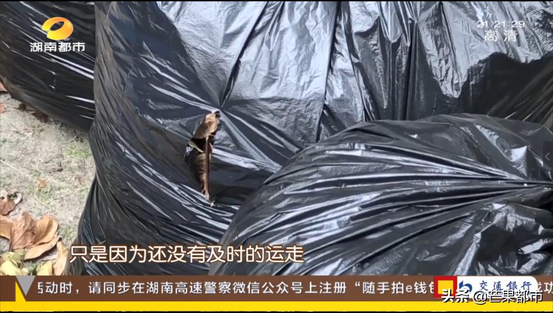 长沙物业管理费3块8一平,1.8元一平米的物业一年多少钱