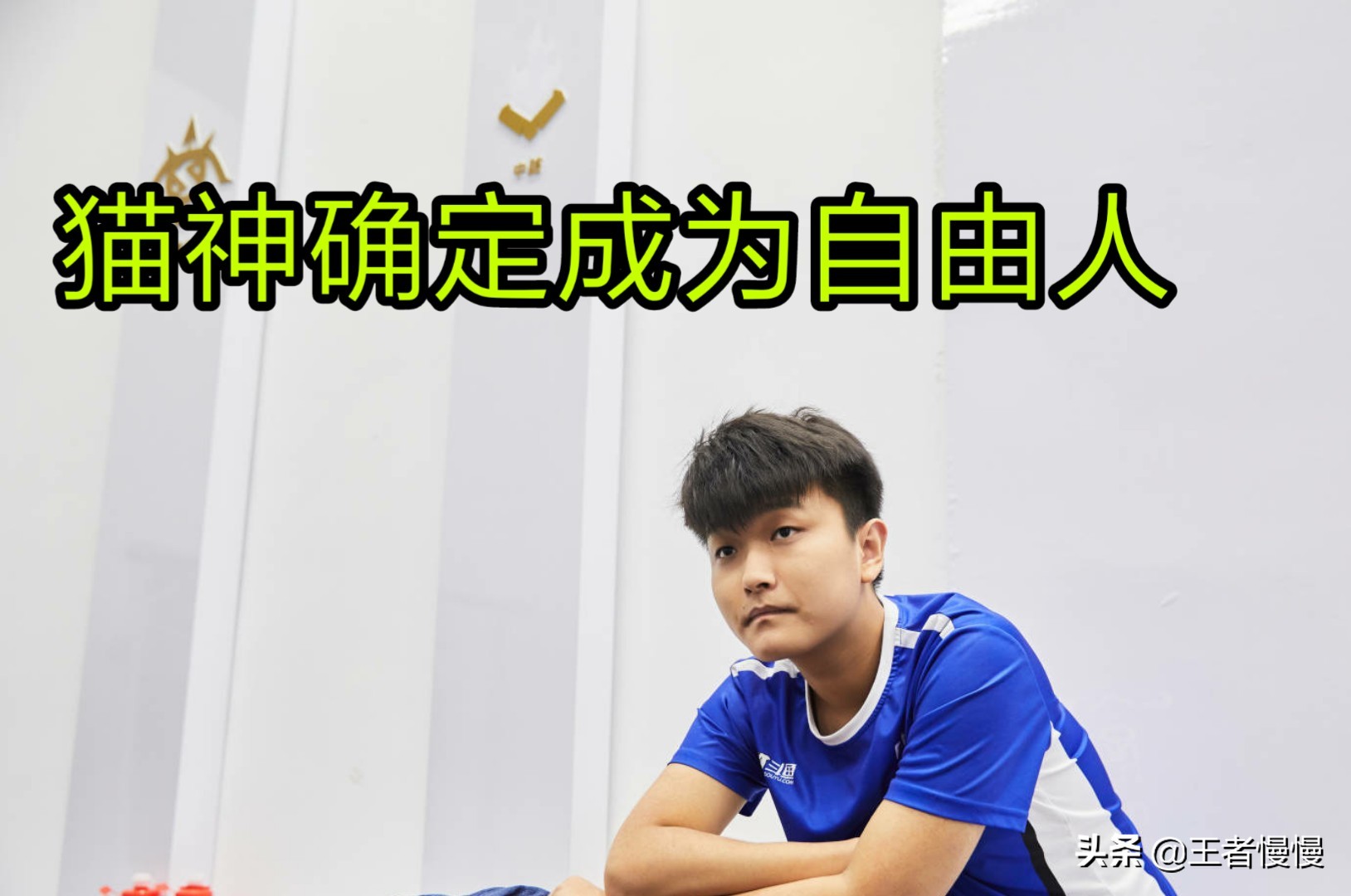 猫神estar回归首战赢了吗,estar猫神为什么走了