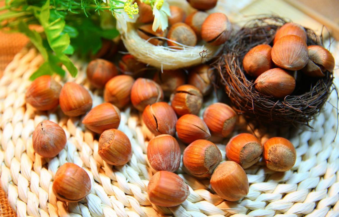 东北大榛子对比迁西板栗哪个好吃,榛子和板栗的营养哪个高