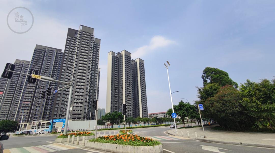 霍东英家族南沙项目,霍氏家族南沙往事