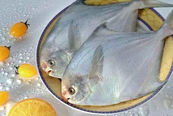 开海什么海鲜最好,开海季肥美海鲜