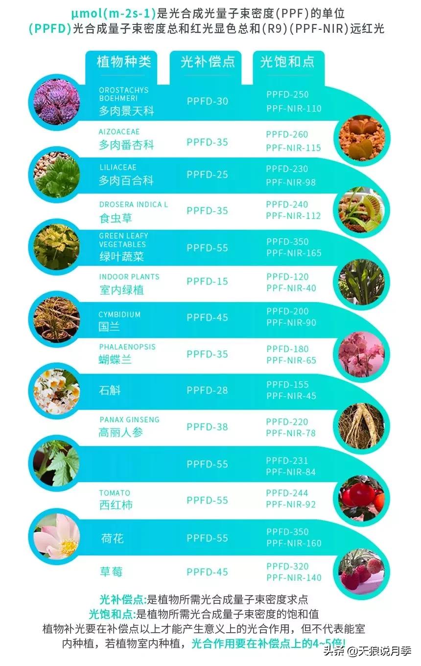 北阳台无直射光,北阳台直射光