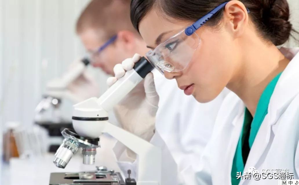 sgs质量认证,sgs品质认证