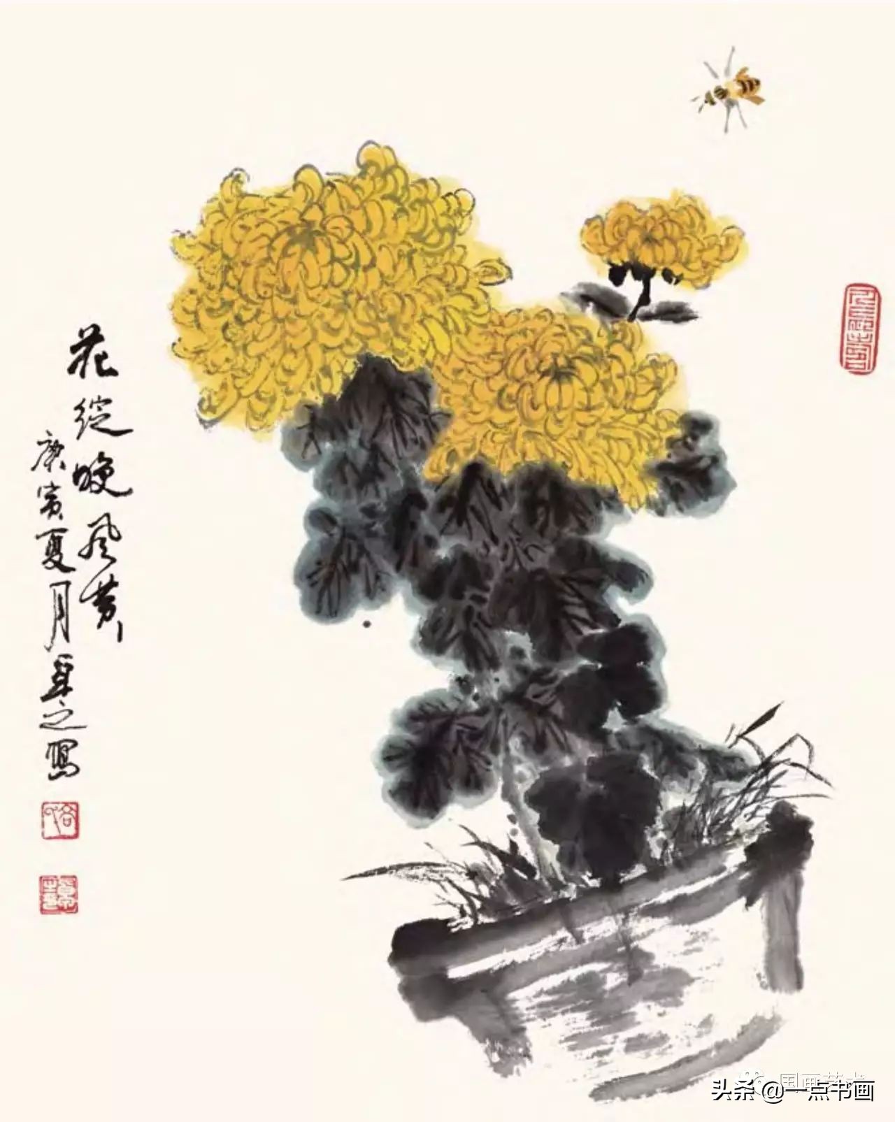 菊花画法教程简笔画,菊花拟人画法