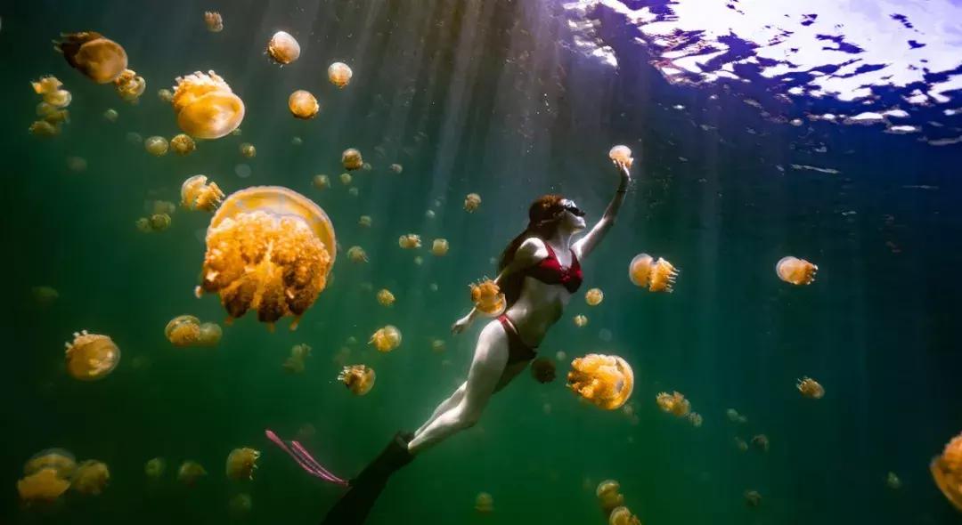 普吉海岛推荐,比普吉岛便宜的东非海岛