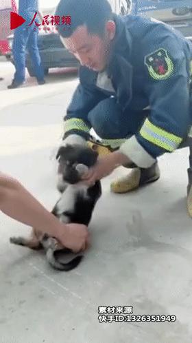 古稀老年人画,叶脉造型画