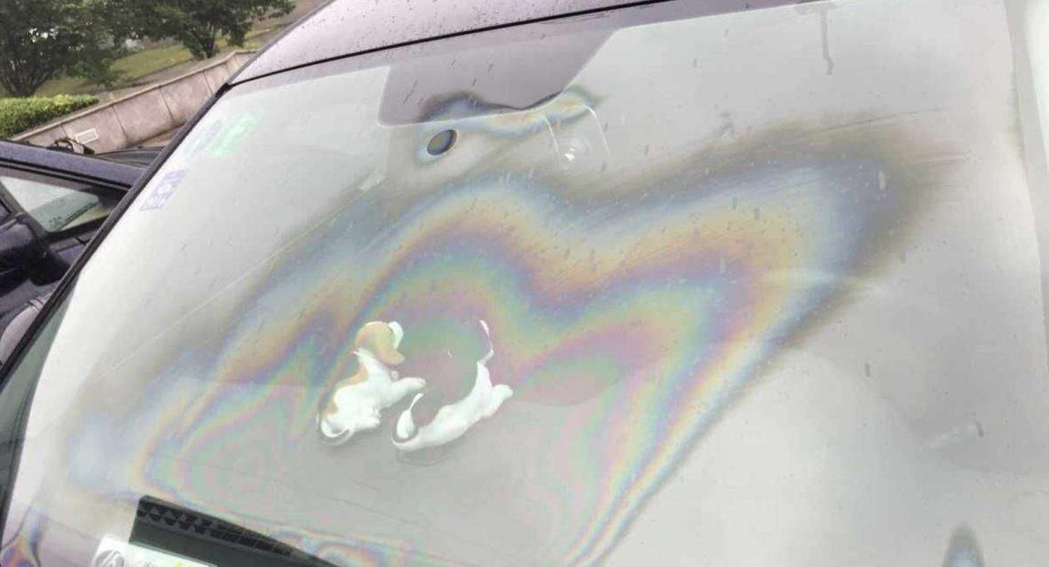 挡风玻璃去油膜有哪一些方法,汽车挡风玻璃有彩色油膜怎么处理