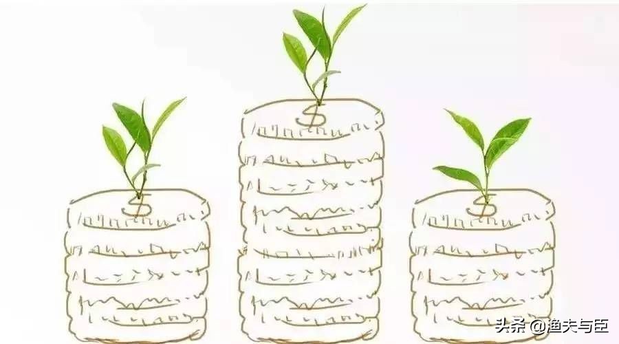 3个投资理财小故事看完豁然开朗,投资理财的小故事一千字