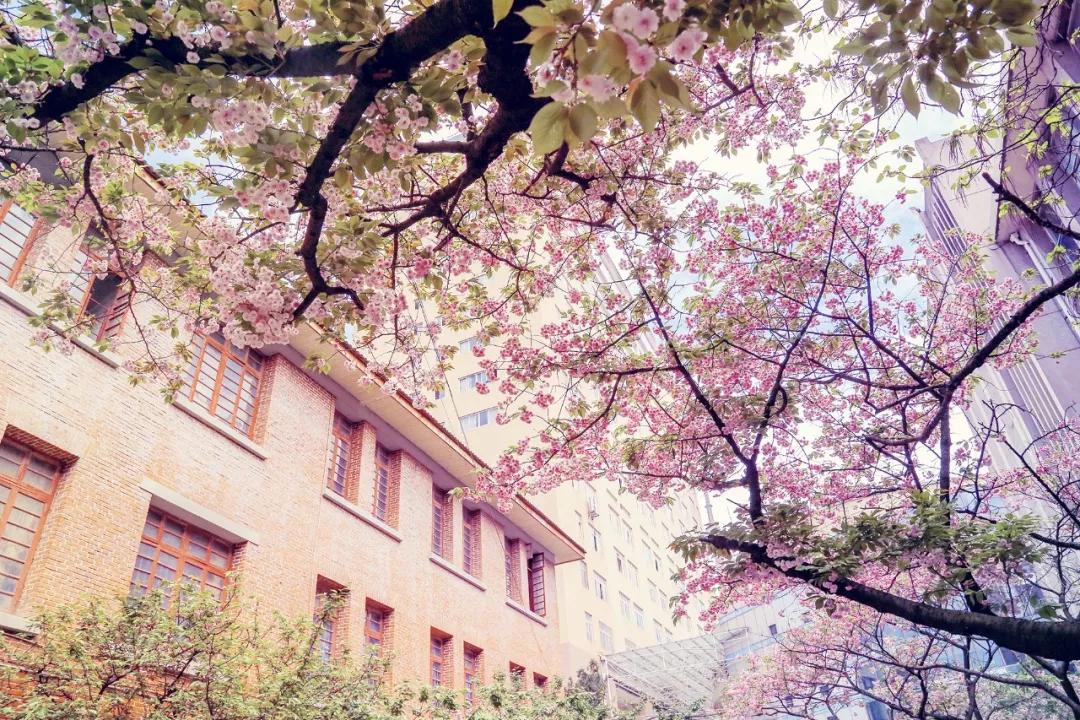 贵阳市创新型城市排名,贵阳市示范性综合实践基地